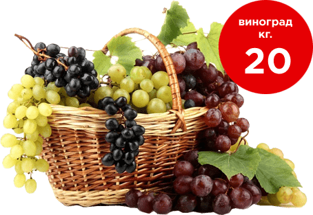 Экономия на водосчетчиках